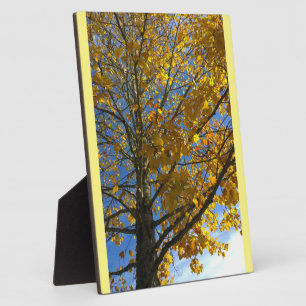 Gele najaarstructuur fotoplaat