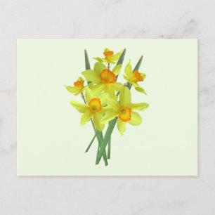 Gele Narcis Bloemen Briefkaart