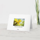 Gele narcis • Wenskaart Kaart (Achterkant)
