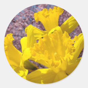 Gele narcisbloemenstickers Enveloppe zegels