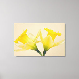 Gele narcissen canvas afdruk