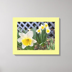 Gele narcissen canvas afdruk