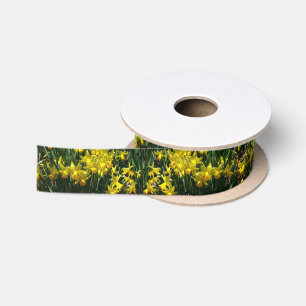 Gele Narcissen I Vrolijke Lentebloemen Lint