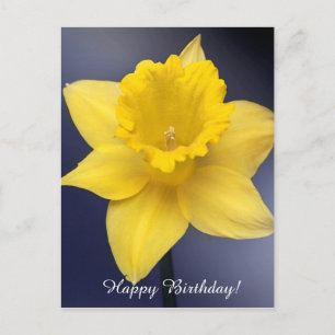 Gele Narcissus Bloem Bloemenschildering in waterve Briefkaart