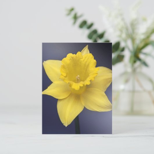 Gele Narcissus Bloemen waterverf Briefkaart (Staand voorkant)