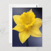 Gele Narcissus Bloemen waterverf Briefkaart (Voorkant / Achterkant)