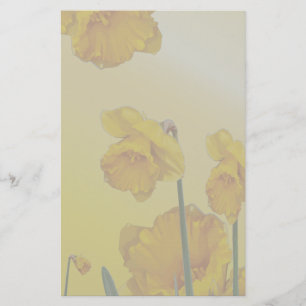 Gele Narcissus Daffodil Briefpapier