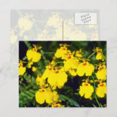 gele natriumbloemen briefkaart (Voorkant / Achterkant)
