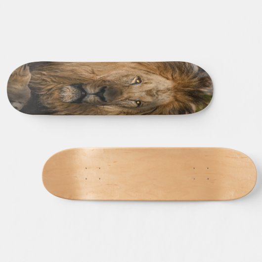 GELE OGEN leeuw Skateboard (Horizontaal)