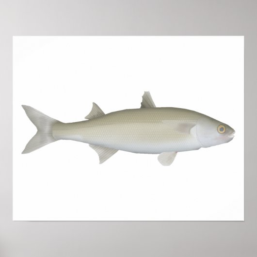 gele oogmullet poster (Voorkant)