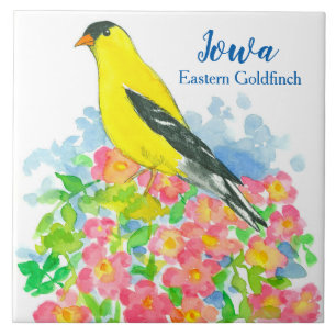 Gele Oosterse Goudvink State Bird van Iowa Tegeltje