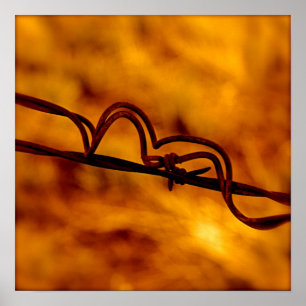 Gele Oranje-Barbed Wire Fugue Poster