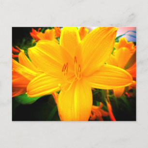 Gele oranjedaglelilies Zonnige tuin Briefkaart