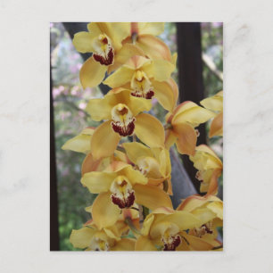 Gele orchidee briefkaart