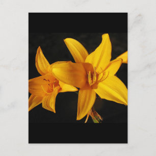 Gele orchidee briefkaart