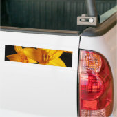 Gele orchidee Bumpersticker (Op Truck)