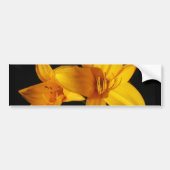 Gele orchidee bumpersticker (Voorkant)