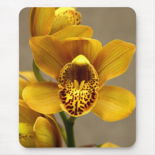 Gele orchidee mousepad muismat (Voorkant)