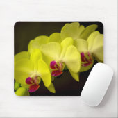 Gele Orchidee - Mousepad Muismat (Met muis)