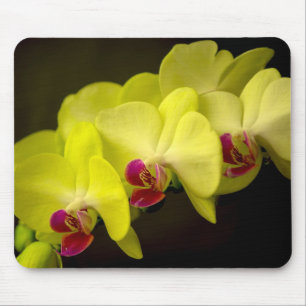 Gele Orchidee - Mousepad Muismat