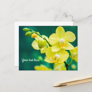 Gele Orchidee op Groene Ansichtkaart Briefkaart