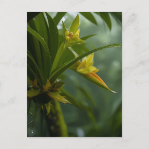 Gele Orchidee Regenwoud Briefkaart