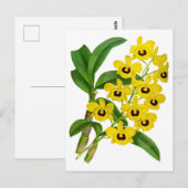 gele orchidee ventilator Kaart (Voorkant / Achterkant)