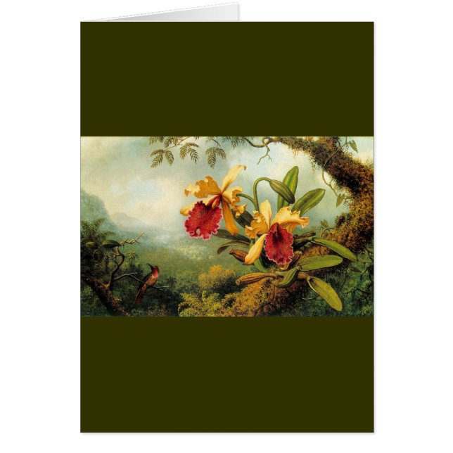 Gele orchideeën (Voorkant)