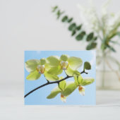 Gele orchideeën briefkaart (Staand voorkant)