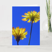 Gele paardebloem, blauwe lucht, blije, positieve N Kaart (Voorkant)