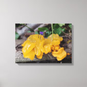 Gele paddenstoel canvas afdruk (Voorkant)