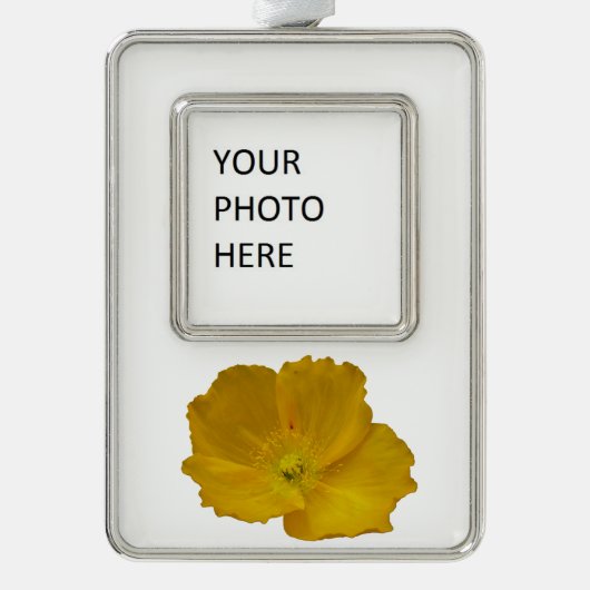 Gele papaver Alaskan Wildflower Floral Verzilverd Kader Ornament (Voorkant)