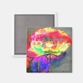 Gele papaver magneet (Voorkant / Achterkant)