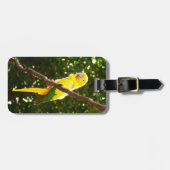 Gele papegaai bagagelabel (Voorkant horizontaal)