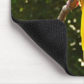 Gele papegaai muismat (Hoek)