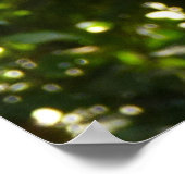 Gele papegaai poster (Hoek)