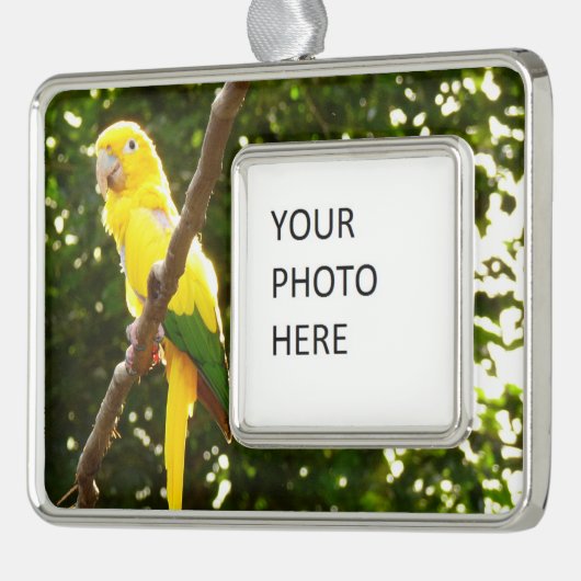 Gele papegaai verzilverd kader ornament (Links)