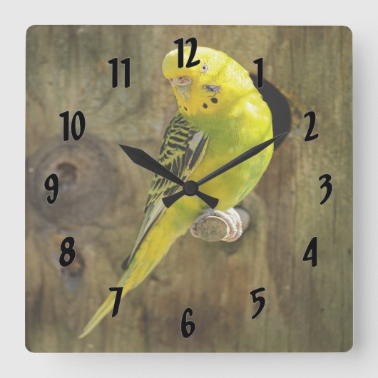  gele parkiet vierkante klok (Voorkant)