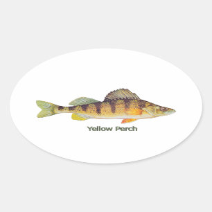 Gele Perch met de titel Ovale Sticker