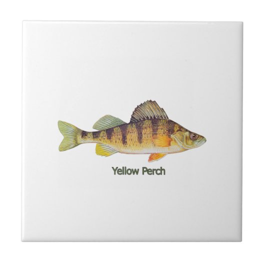 Gele Perch met de titel Tegeltje (Voorkant)