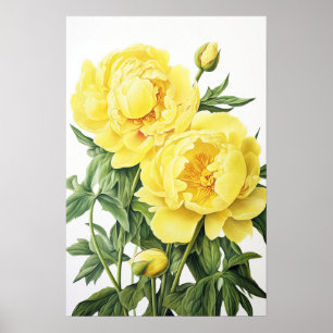 Gele Pioenrozen Bloemen Art Print Poster