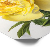Gele Pioenrozen Bloemen Art Print Poster (Hoek)