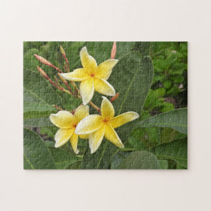 Gele Plumeria Tropische Bloem Fotografie Puzzel