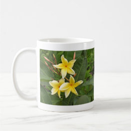 Gele Plumeria Tropische Bloemfotografie Koffiemok