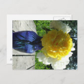 Gele pony-ventilator in Blue Vase Briefkaart (Voorkant / Achterkant)