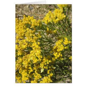 Gele Prairie Wildflower Card