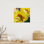 Gele Prickly Pear Cactus Poster (Keuken)