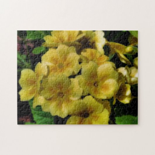 Gele primrose Flowers Orton Effect Legpuzzel (Horizontaal)