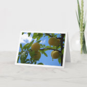 Gele Pruimen Blauwe Hemel Kaart (Voorkant)