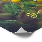 Gele pruimen na regen poster (Hoek)